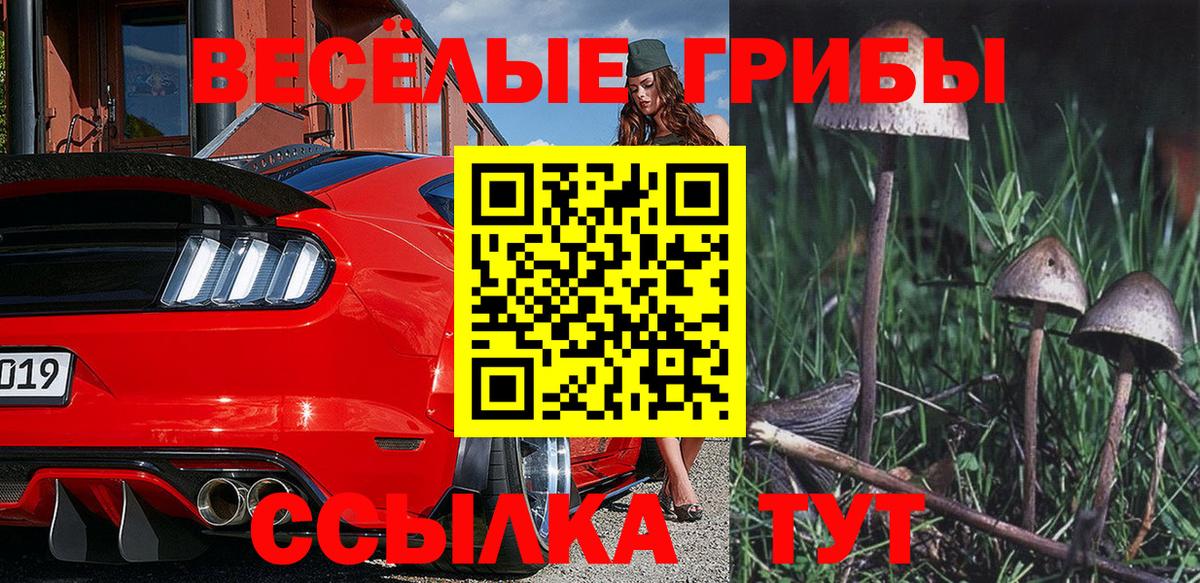Заречный  Псилоцибиновые грибы MAGIC MUSHROOMS  Псилоцибиновые грибы GOLDEN TEACHER  Вход с VPN 