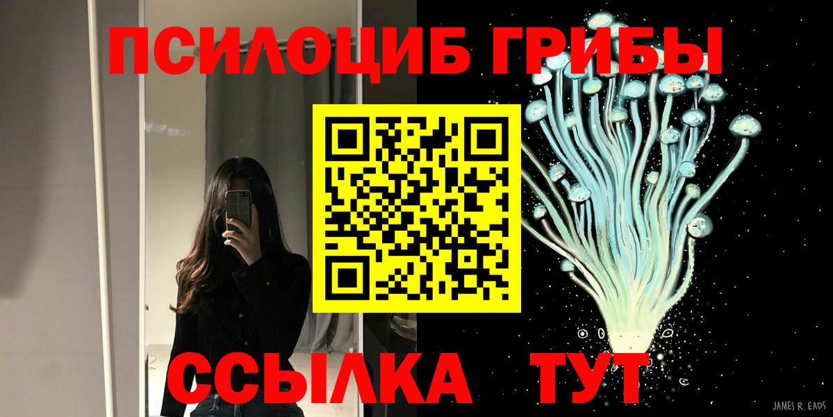 Галлюциногенные грибы Cubensis Заречный